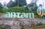 IMG-20260117-WA0029