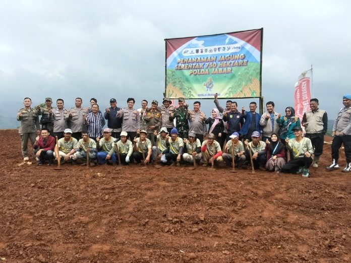 Polsek Cigudeg Kawal Program Penanaman Jagung Serentak di Sukajaya