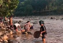 Sungai Cikaniki Diduga Tercemar Limbah Sianida, APH Diminta Turun Tangan