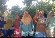Buruh Perkebunan Kakao Cianjur: Kebutuhan Keluarga Terus Berjalan Sementara Selama Tujuh Bulan Gaji Belum Dibayar.