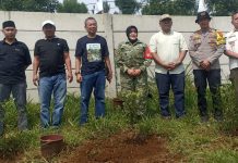 Sinergi Hijau: PT PMC, PWI Jaya dan Aliansi Pencinta Alam Tanam 5000 Pohon di Tamansari