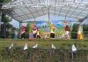 GEMAS Paudqu Cianjur Ajak 1.500 Anak Belajar dan Mencintai Alam