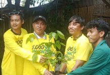 Pemuda Bergerak Bogor Hijau dan Lestari KPP Bogor Raya Bersama Elemen Organisasi Pemuda Tanam 1000 Bibit Pohon